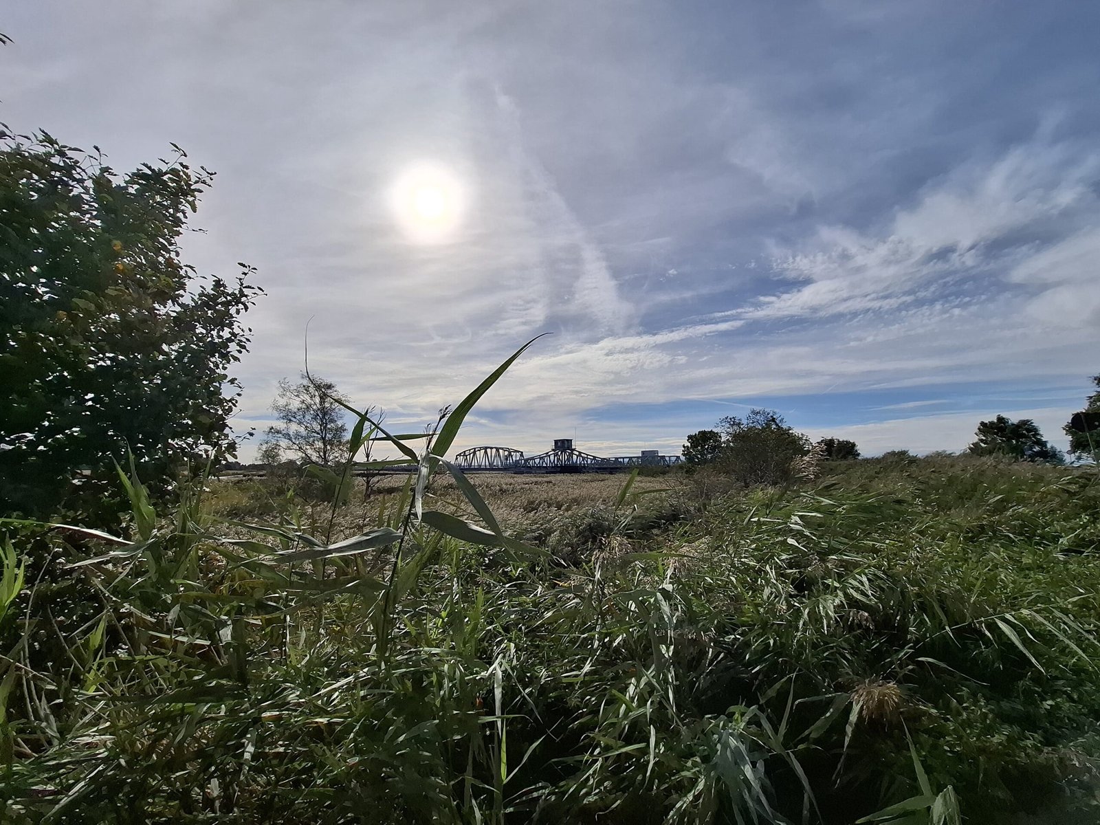 WhatsApp Image 2025-09-26 at 11.56.32