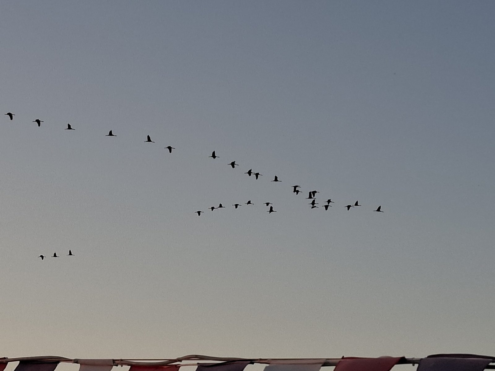 WhatsApp Image 2025-10-02 at 20.30.02 (2)